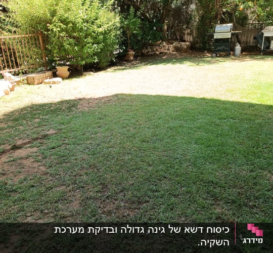 גינה עם דשא, שיחים וגריל